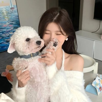 社会中坚